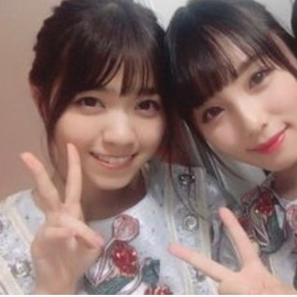 乃木坂46壁紙 Tiktok Hashtag