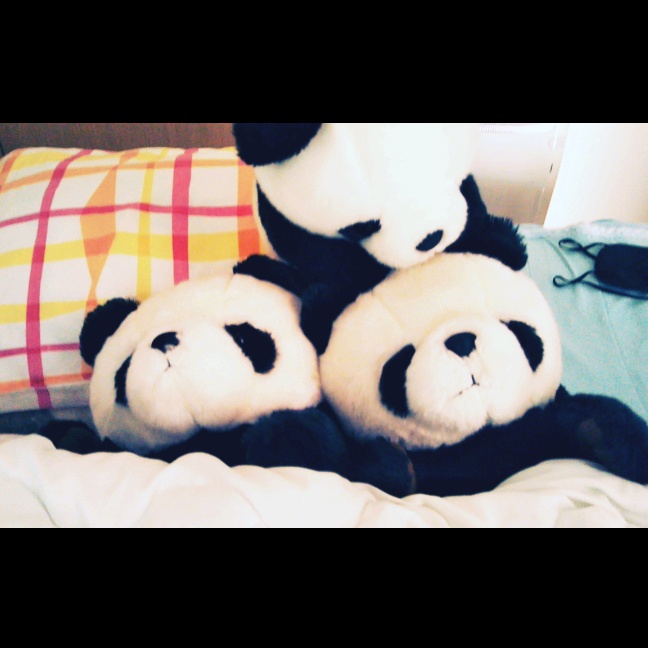 Tiktok Videos With Song 三匹のしゃべる子パンダ オリジナル楽曲