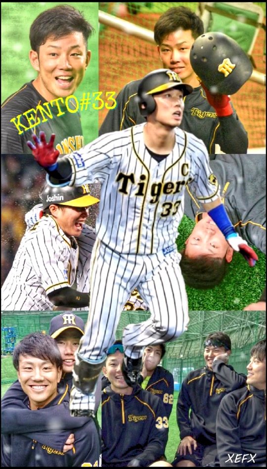 Tigers R Kento Tigers 33 R On Tiktok ダイナミック壁紙です