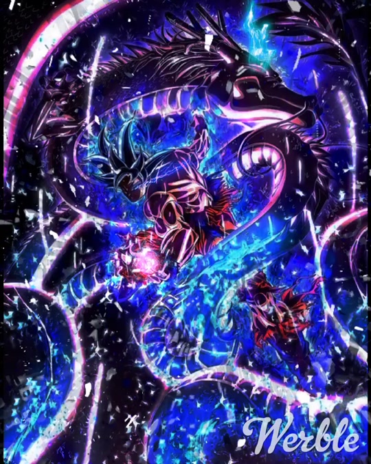 ダイナミック ドラゴンボール 壁紙 身勝手 の 極意 Udin